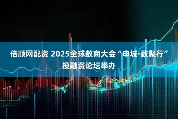 倍顺网配资 2025全球数商大会“申城·数聚行”投融资论坛举办