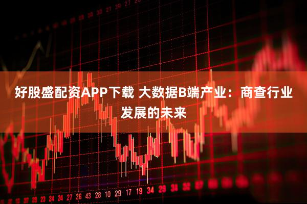 好股盛配资APP下载 大数据B端产业：商查行业发展的未来